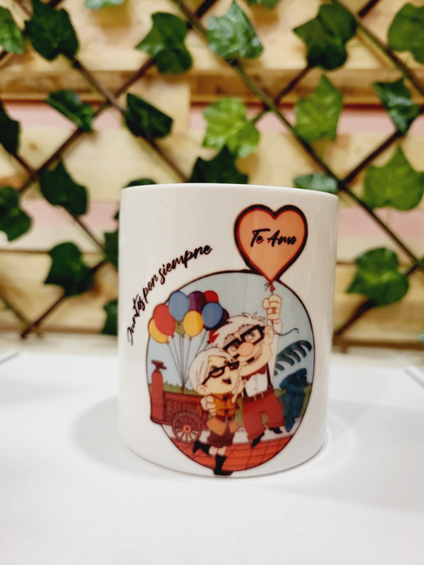 Hucha de Ellie and Carl